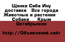 Щенки Сиба Ину доставка - Все города Животные и растения » Собаки   . Крым,Октябрьское